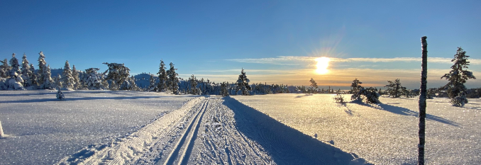 Virtuell ski konkurranse